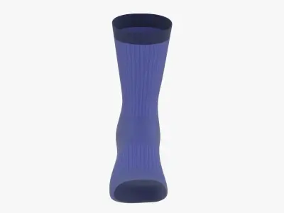 Long sport sock 3D model