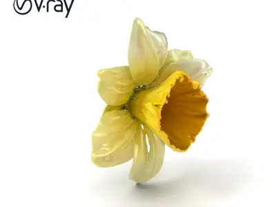 Narcissus Flower Detailed Model Pack Low-poly 3D model