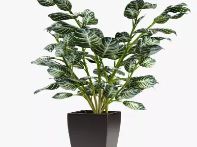 Realistic Plant Garden 3D model