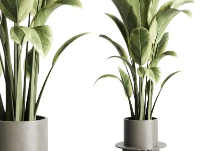 pot plant and hanging pot and wall plant collection 213 3D model
