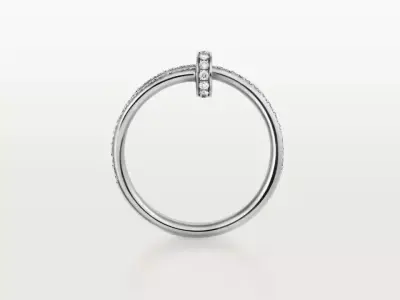 NAIL - RING - DOUBLE - SEMI DIAMOND PAVING 3D print model