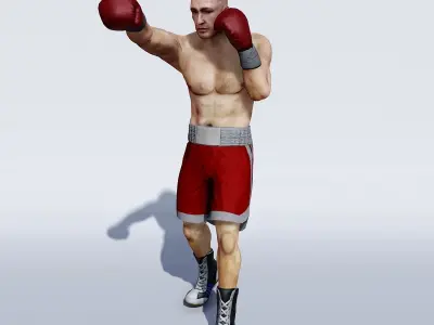 Professional  heavyweight boxer Low-poly 3D model