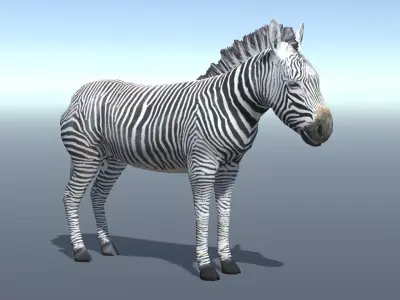 Lowpoly Zebra  Animated for VR AR Games  Low-poly 3D model