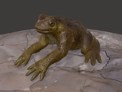 Frog creature Low-poly 3D model purchase