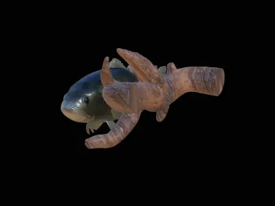 BASS UNDERWATER STATUE ON THE WALL DETAILED TEXTURE 3D print model