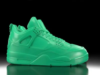 Air Jordan 4 with sole bottom  3D print model
