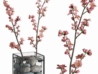 decorative set 09 3D model purchase