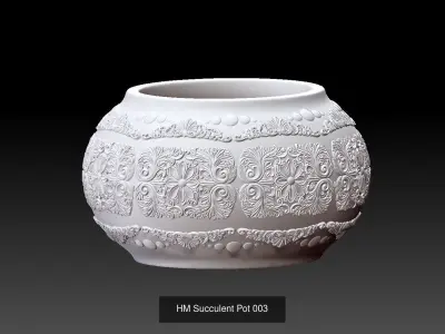 HM Succulent Flower Pot Three Models together Promotional price 3D Model Collection