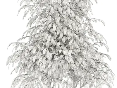 Plants collection 102 Awesomeplanters 3D model