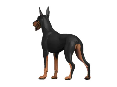 Doberman Low-poly 3D model