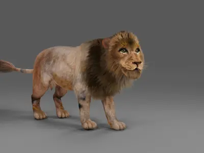 Fur Lion Rigged in Blender  Low-poly 3D model