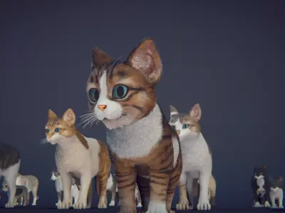 Cat Animset Pro Low-poly 3D model