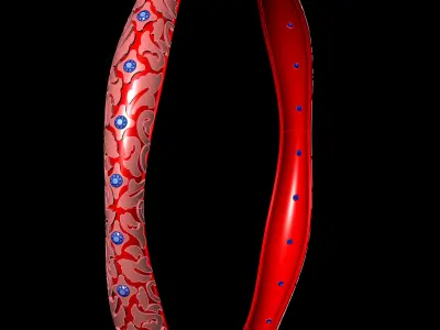 Stylish TURKISH  bangle Jewellery For Women 3D print model