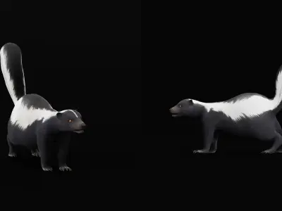Striped Skunk Low-poly 3D model