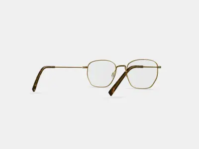 Hale Eyeglasses in Polished Gold 3D model purchase