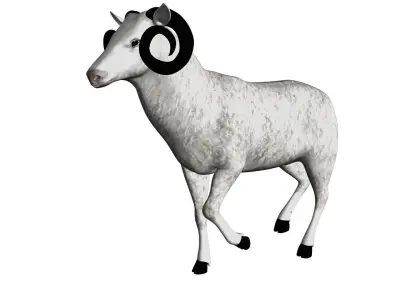Sheep Rigged and Animated  3D model