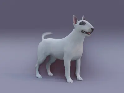 BullTerrier bull terrier 3D model