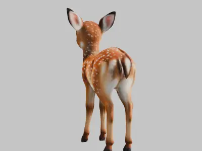 Realistic Deer Fawn 3D Model Low-poly 3D model