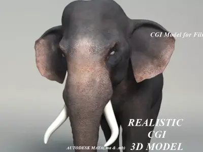 Elephant with tusks 3D model