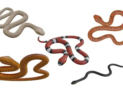 Snake procedural Low-poly 3D model