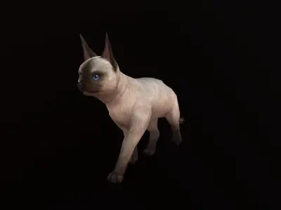 animated siamese cat Low-poly 3D model