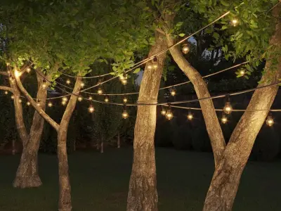 String lights 3D model