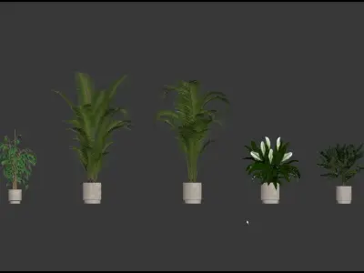 20 Photorealistic Flowers for Interiors - set 202 205 213 216 3D Model Collection