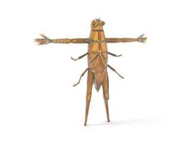 Bronze Insectoid Sculpture model pack Low-poly 3D model