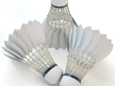 Badminton Shuttlecock 3D model