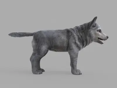 Wolf Puppy Low Poly Low-poly 3D model