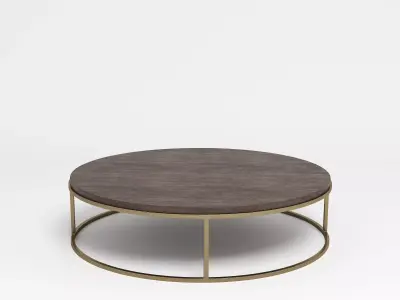 Ring Shaped Coffee Table - Golden and Wood 3D model