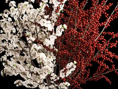 White sakura bouquet blossoming cherry branches Ilex 339 3D model