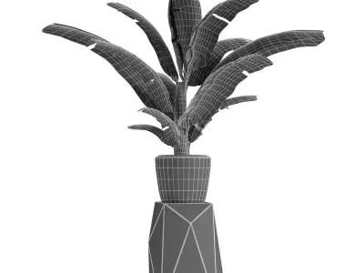 Plant in Pot Flowerpot Exotic Plant 3D model 22