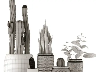 Plant Collection two cactus plants in vase 3D model