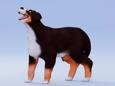 Low poly - Stylized dog - Bernese Mountain Dog Low-poly 3D model