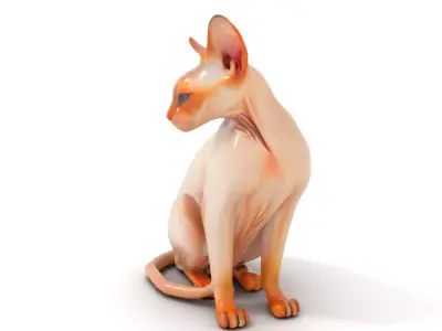 Sphynx Cat Elegance model pack Low-poly 3D model