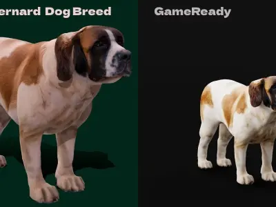 Saint Bernard Dog Breed Low-poly 3D model