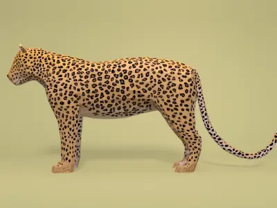 Low Poly Cartoon Leopard Low-poly 3D model