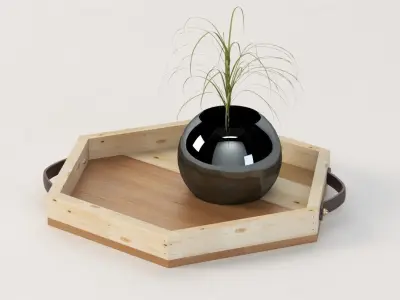 Reclaimed Wooden Hexagon Tray with Interior Planter Centerpiece 3D model