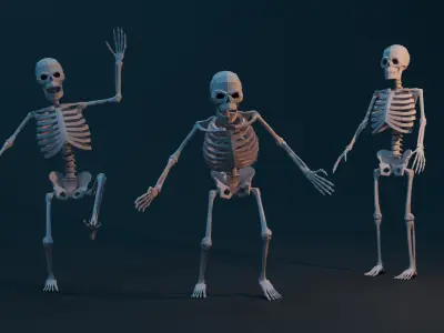 Skeleton low-poly stylized Low-poly 3D model