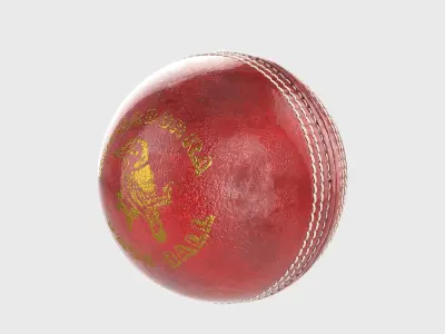 Cricket Ball 3D model