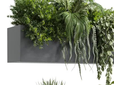 wall plant hanging plants collection Indoor plant  Low-poly 3D model