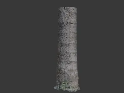 Realistic 3D Scanned Palm Tree Trunks Low-poly 3D model