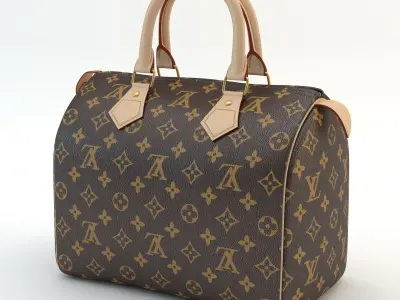 Louis Vuitton Bag 01 3D model