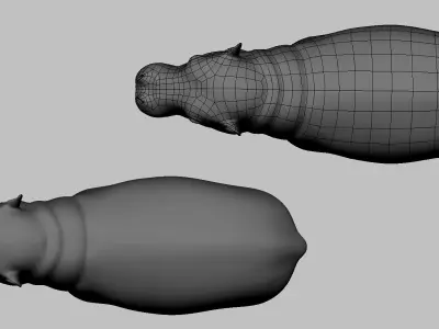Baby Hippopotamus Low-poly 3D model