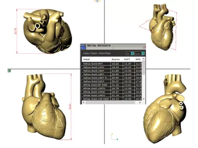 Heart 3D print model