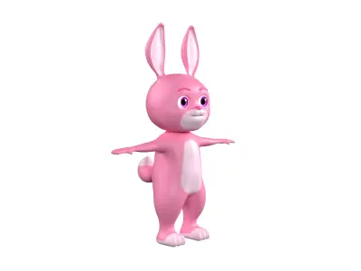  3D Cartoon Rabbit Model 3D model