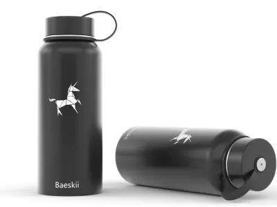 Water Bottle 3D model