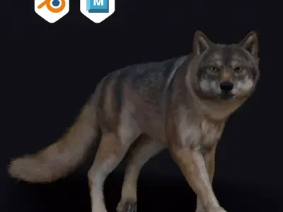 Wolf Animation  3D model
