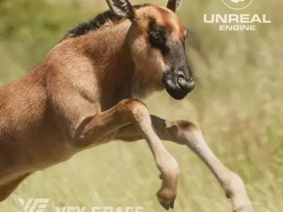 Baby Wildebeest  UE Character Asset 3D model